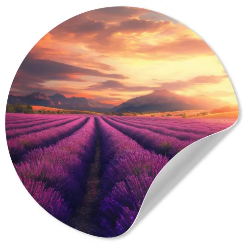 Lavendelveld - Zonsondergang - Paars Wandcirkel behangsticker klein -3d