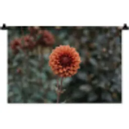 Dahlia - Bloem - Natuur - Sfeervol Wandkleed katoen klein -zz3d