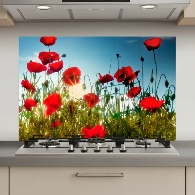 Klaprozen - Toscane - Zon - Rood - Blauw keuken achterwand spatscherm klein -3d_website