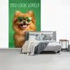 Hond - Zonnebril - Valentijn - Love fotobehang vinyl groot -slaapkamer