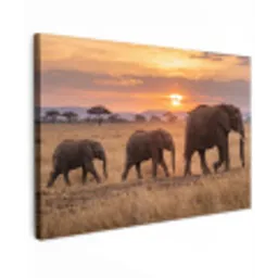 Olifanten - Savanne - Zonsondergang - Afrika - Warm canvas 2cm klein -z3d