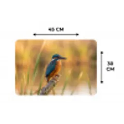 IJsvogel - Tak - Water - Kleurrijk - Levendig Placemat vinyl groot -specs