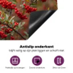 Goudvink - Bessen - Herfst - Natuur - Kleurrijk Inductie beschermer vinyl 3mm middel -zzzzzzz-cc-onderkant