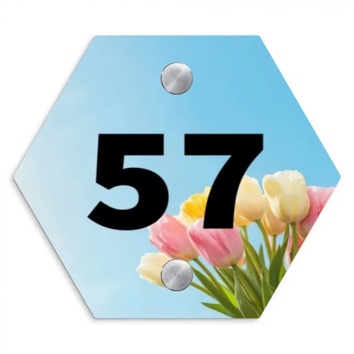 Gekleurde tulpen lucht - Traditioneel Naambord Hexagon klein -3d