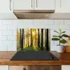 Bos - Zon - Bomen - Gras - Landschap  - Natuur keuken achterwand spatscherm klein -sfeer2