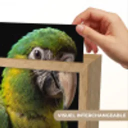Ara - Portret - Groen Light Box met kabel (Kinderlampje) klein -USP_websiteprintFR