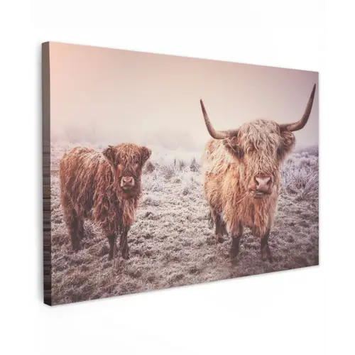 Schotse hooglanders - Licht - Lucht - Natuur Tuinposter op houten frame 2 cm dik klein -3d
