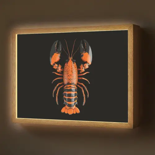 Kreeft - Oranje - Zwart - Modern Light Box met batterij (Wandlamp) middel -z3d_website