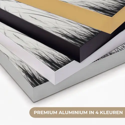 Kraanvogels - Gras - Hartvorm - Zwart Textielframe zwart klein -USP_kleurenNL