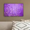 Lavendel - Close-up - Bloemen - Paars canvas 2cm klein -sfeer3