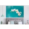Orchidee - Bloemen - Plant - Wit - Paars forex 5mm xxl -slaapkamer