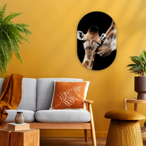 Giraffe - Dieren - Zwart - Portret - Dieren Wandcirkel Ovaal Forex klein -sfeer4