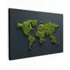 Wereldkaart - Mos -Levendig effect Tuinposter op houten frame 2 cm dik klein -3d