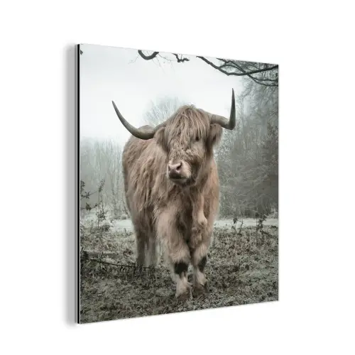 Schotse Hooglander - Bos - Mist - Koe - Dieren - Natuur aluminium wit klein -3d