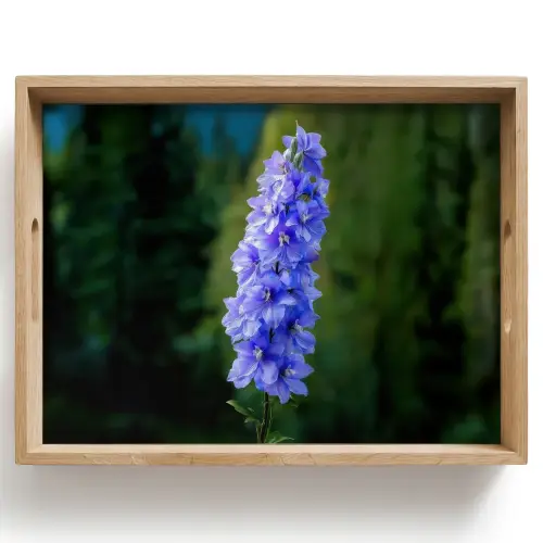 Bloemen - Blauw - Dennenboom Dienblad Rechthoek middel -z3d_shopping