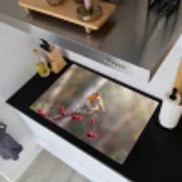 Roodborst - Tak - Bessen - Natuur Inductie beschemer met haakjes klein -sfeer1