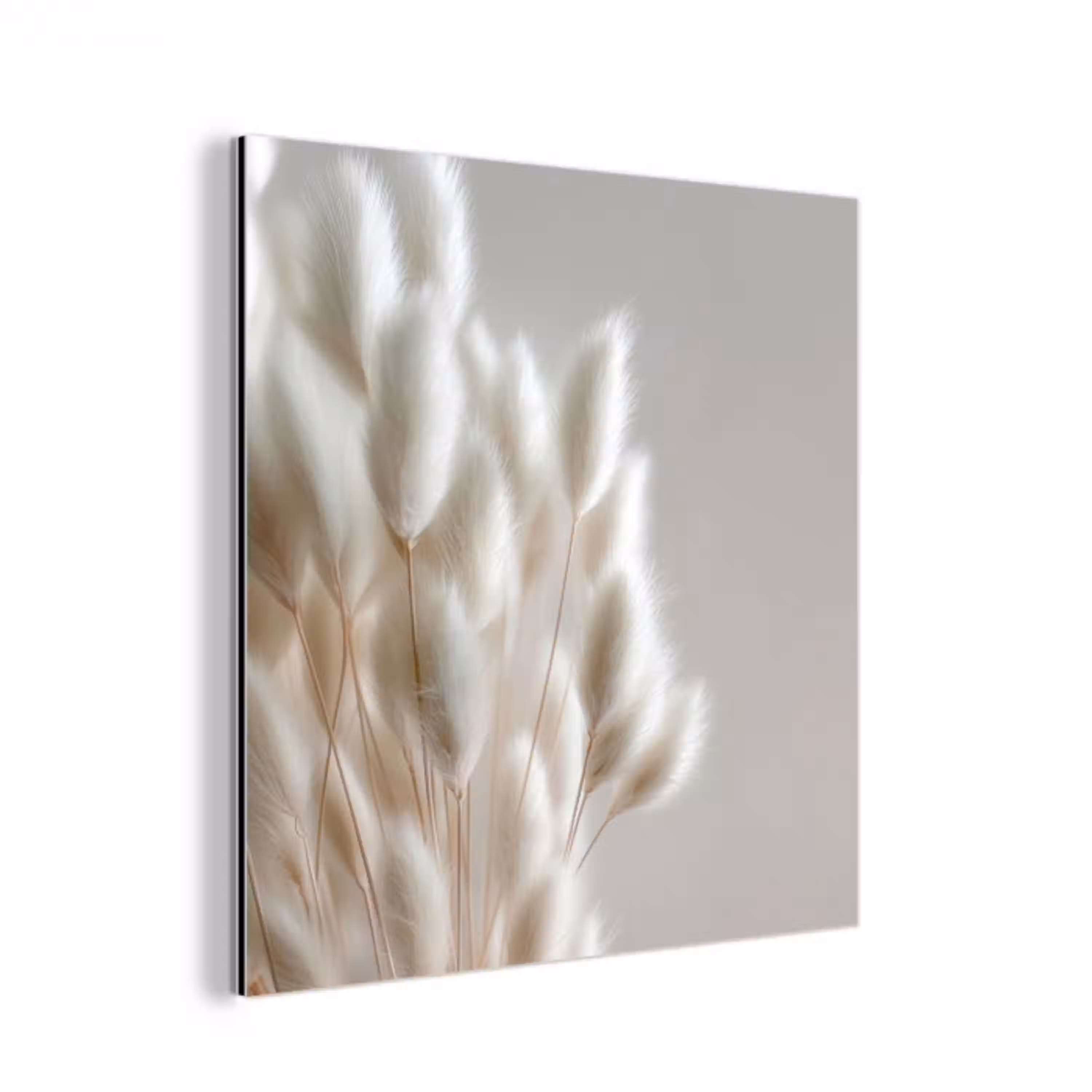 Pluimen - Beige - Minimalistisch aluminium wit klein -3d