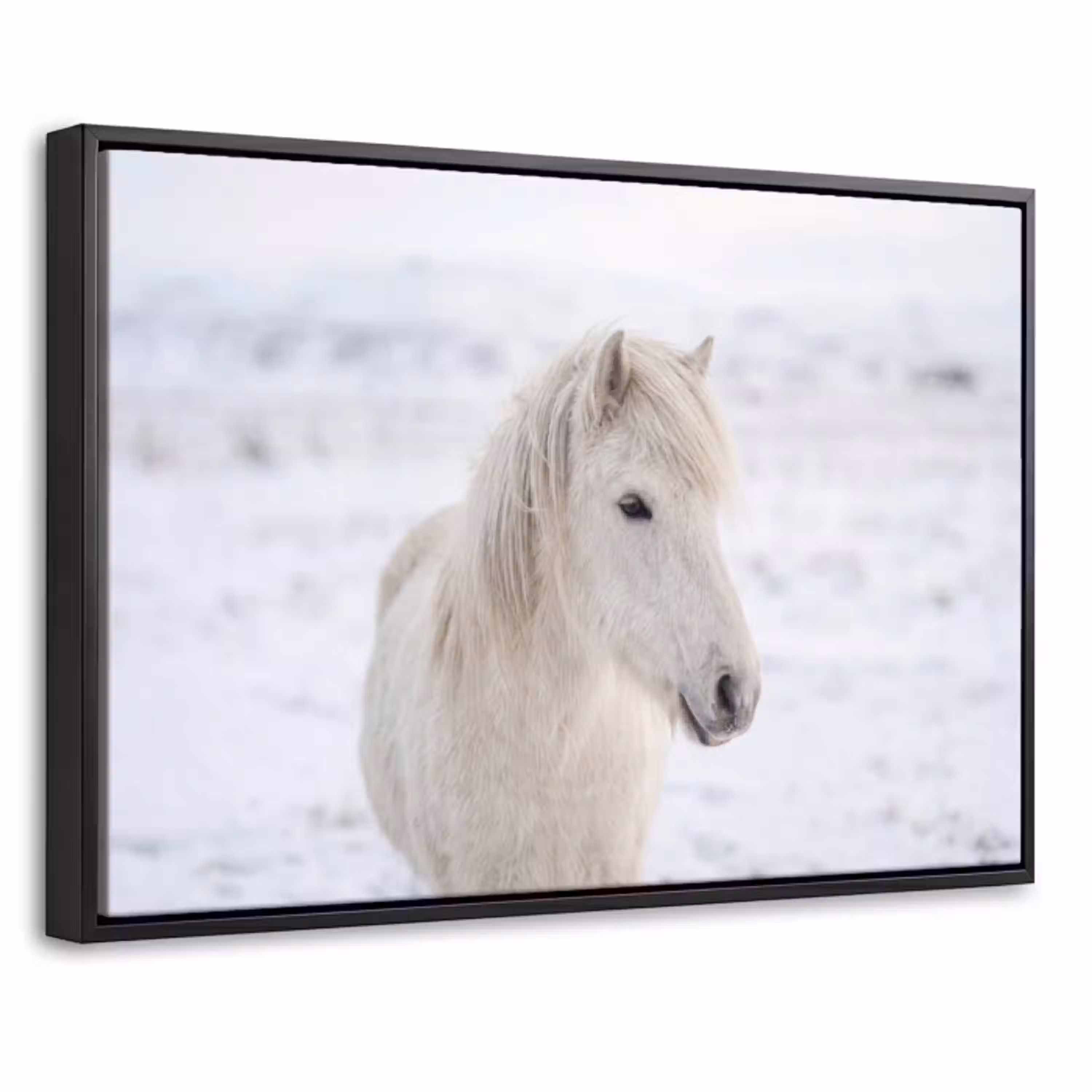 Paard - Kop - Winter - Dieren - Wit Canvas met baklijst klein -threedimensional_3d_global
