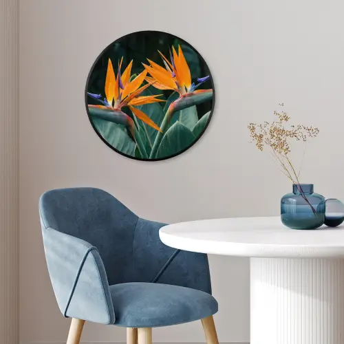 Paradijsvogel - Bloem - Exotisch Fotolijst rond zonder passe partout klein -sfeer2