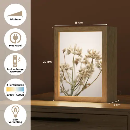 Droogbloemen - Beige - Wit - Planten Light Box met kabel (Tafellamp) klein -USP_NL