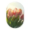 Tulpen - Roze - Zonnestralen Wandcirkel Ovaal Glas middel -3d