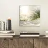 Duin - Waddeneilanden - Water aluminium wit klein -sfeer1
