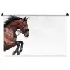 Paard - Springen - Modern Wandkleed katoen middel -zz3d