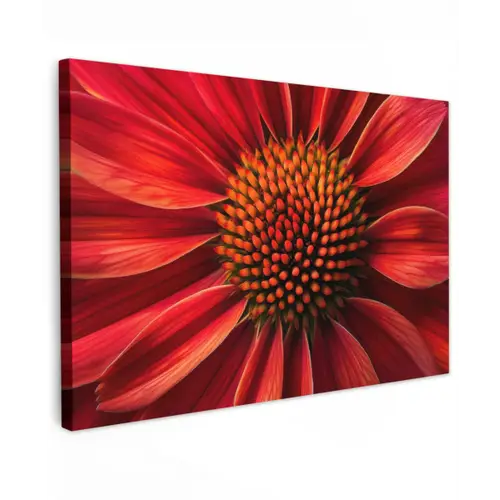 Close up - Bloem- Rood canvas 2cm klein -z3d