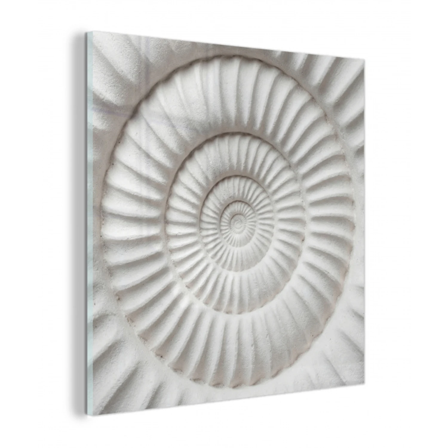 Schelp - Spiraal - Wit plexiglas 5mm klein -z3d