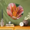 Lelie - Close up - Lichtroze Wandcirkel Organisch Plexiglas middel -sfeer2