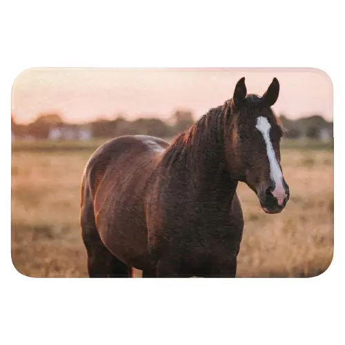 Paard - Zonsondergang - Bruin WCmat klein -3d
