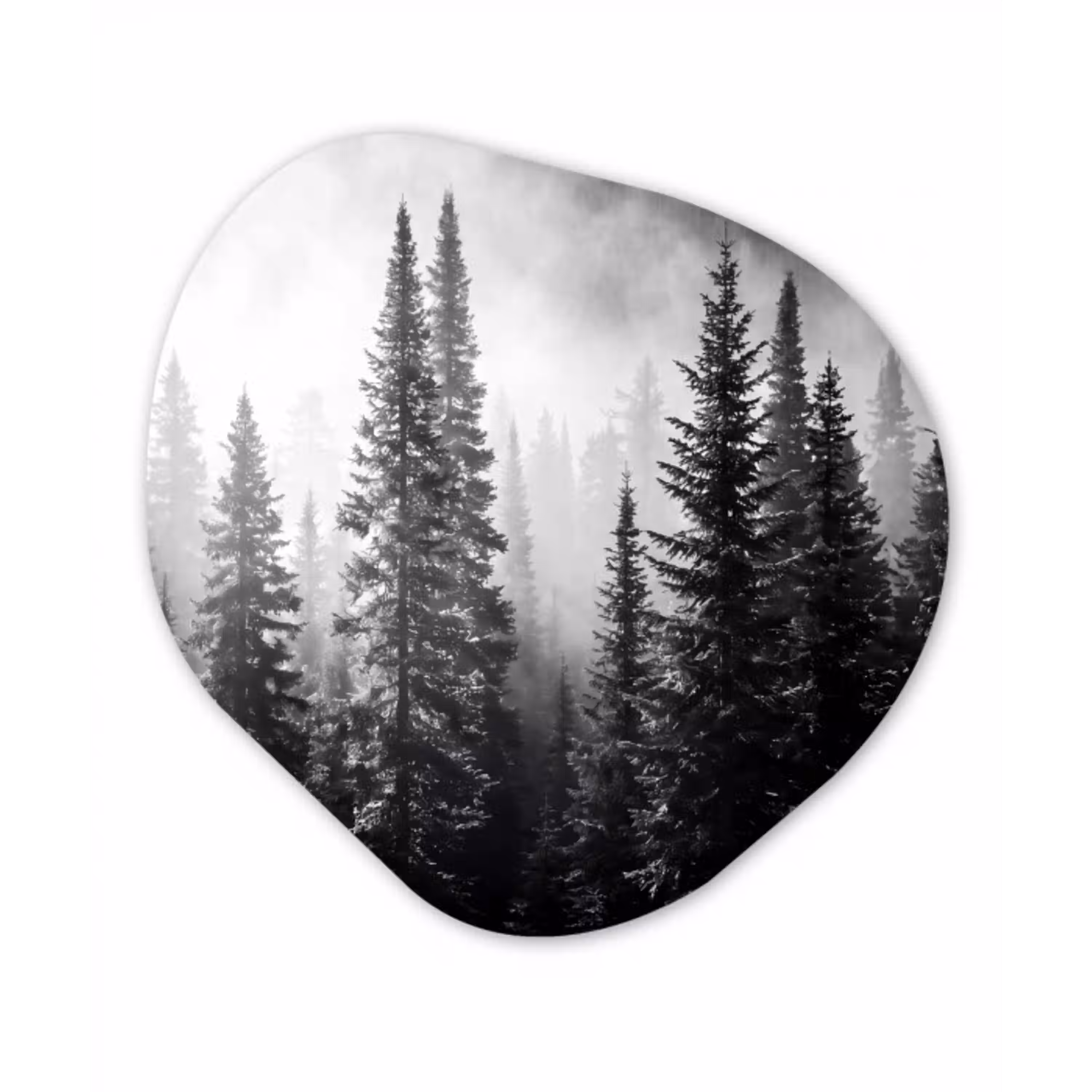 Bos - Mist - Winter - Monochroom - Natuur Wandcirkel Organisch Aluminium middel -3d