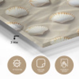 Schelpen - Zand - Maritiem plexiglas 5mm klein 11 -sfeer2