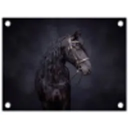 Portret - Paard - Donker tuinposter los doek klein -3d