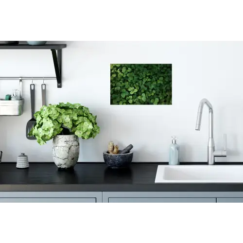 Groen - Bladeren - Kartel - Zonlicht Muursticker klein -keuken