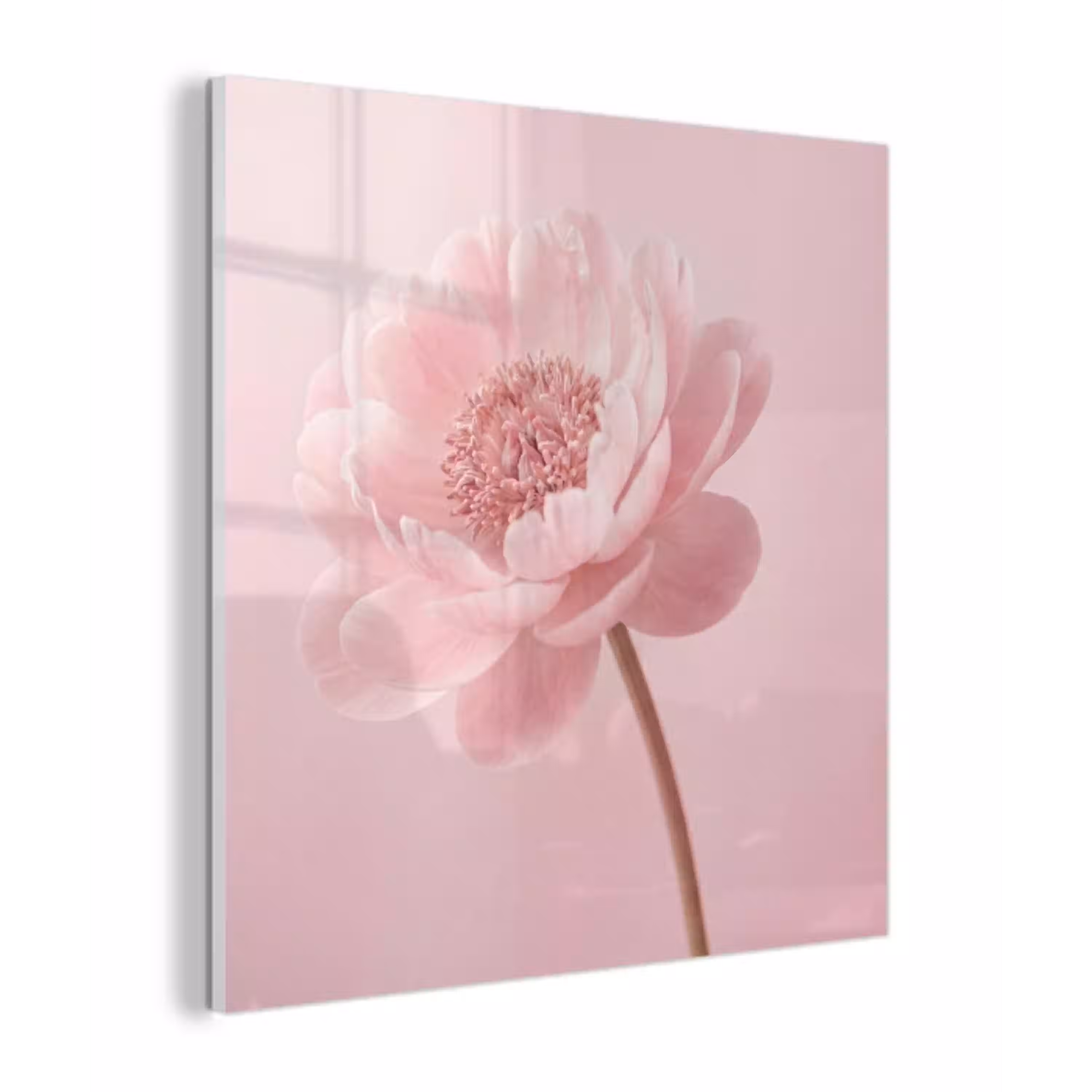 Bloem - Pioenroos - Roze plexiglas 5mm klein -z3d