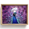 Pauw - Koksmuts - Cool - Paars Dienblad Rechthoek middel -z3d_shopping