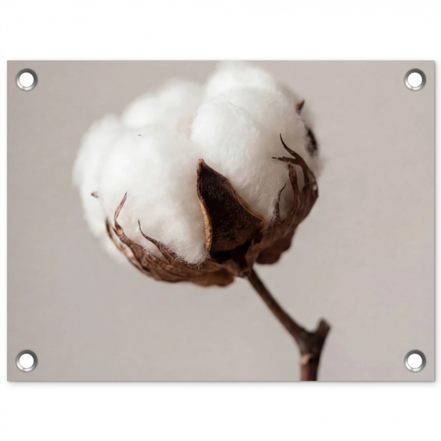 Katoenbol - Minimalistisch - Wit tuinposter los doek klein -3d