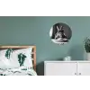 Konijn - Bunny - Zonnebril - Tafelkleed - Pasta - Schattig Wandcirkel aluminium klein -slaapkamer