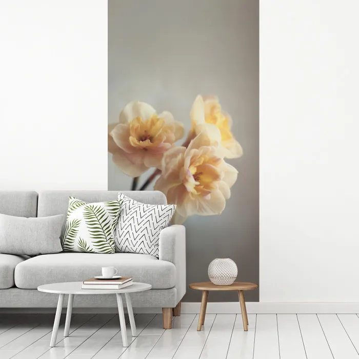 Narcissen - Geel - Bloemblaadjes fotobehang vinyl groot -woonkamer