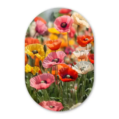 Bloemenveld - Klaprozen - Kleurrijk Wandcirkel Ovaal Forex klein -3d
