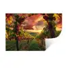 Wijngaard - Druiven - Zonsondergang Muursticker klein -3d