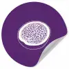 Passievrucht - Zaadjes - Paars - Minimalistisch Wandcirkel behangsticker klein -3d