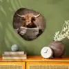 Schotse hooglander - Krant - Toilet Wandcirkel Organisch Forex 3mm klein -sfeer2