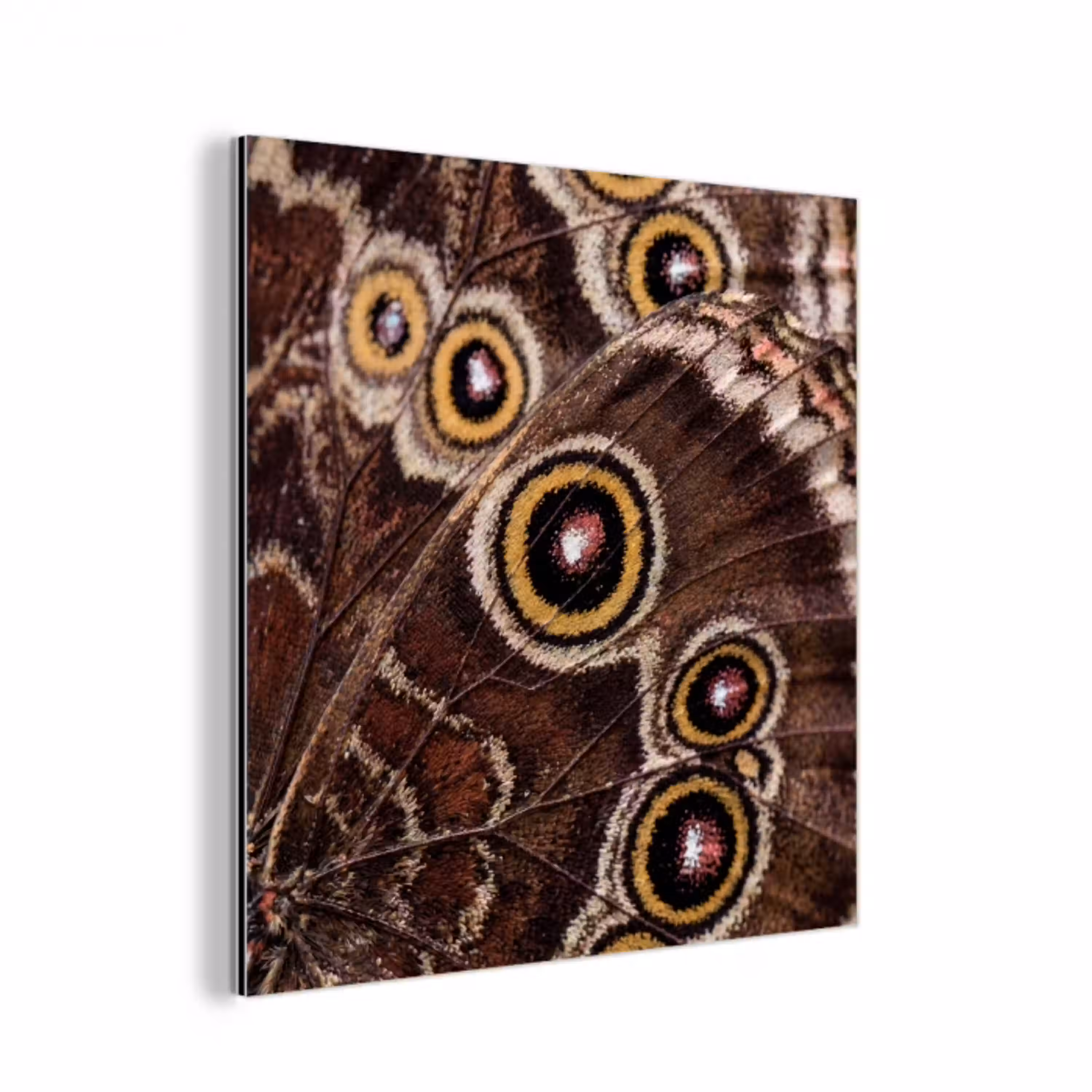 Vlinder - Vleugel - Abstract aluminium wit klein -3d