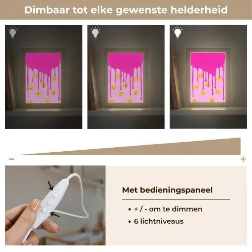 Smiley - Roze - Glazuur Light Box met kabel klein -USP_dimbaarNL
