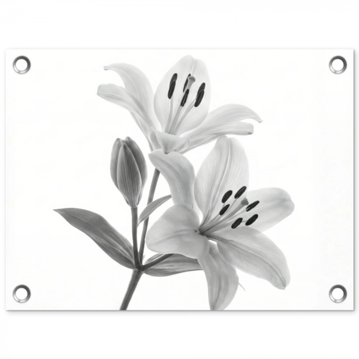 Lelies - Elegant - Zwart - Wit tuinposter los doek klein -3d
