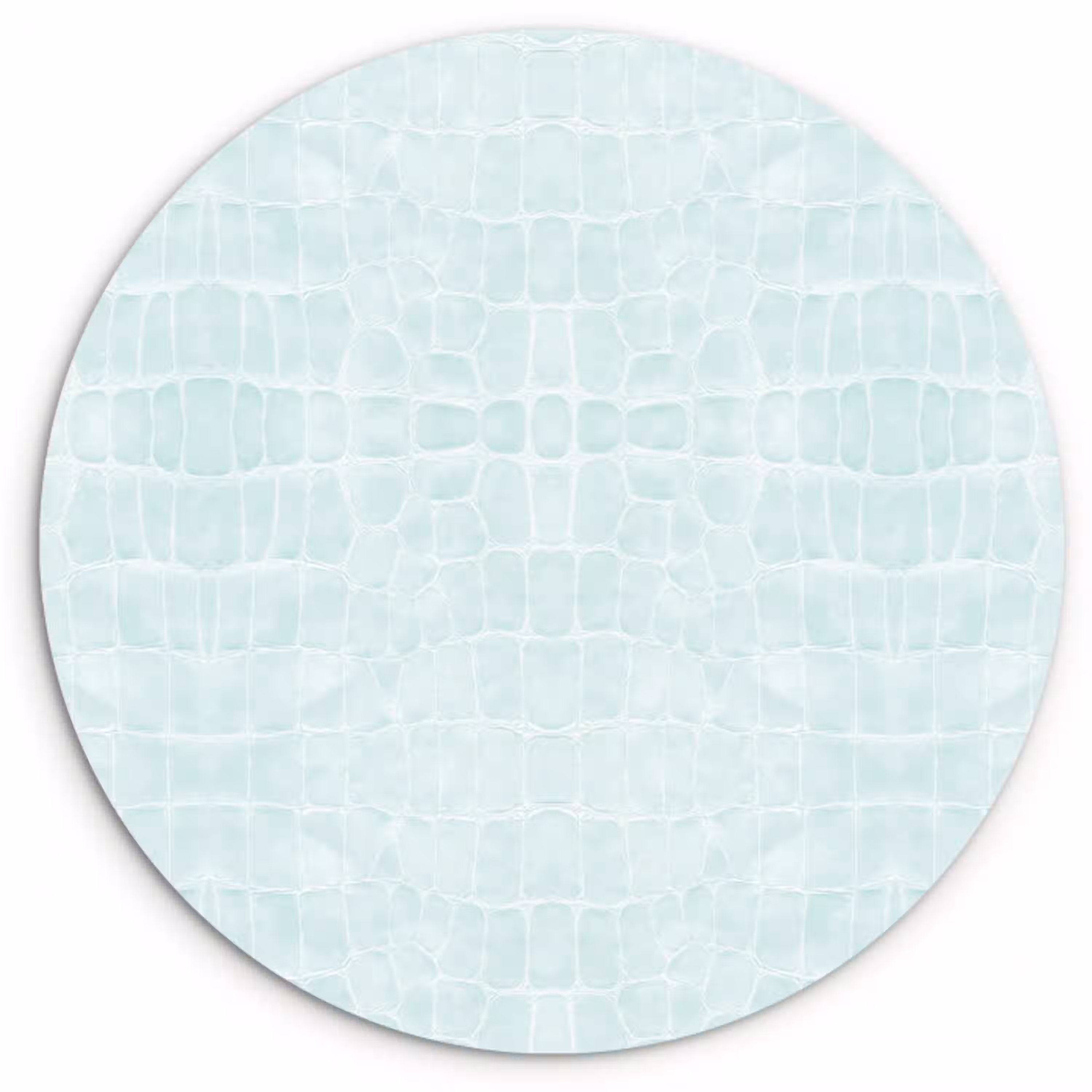 Krokodil - Leer - Mint - Groen Wandcirkel plexiglas klein 852 -3d