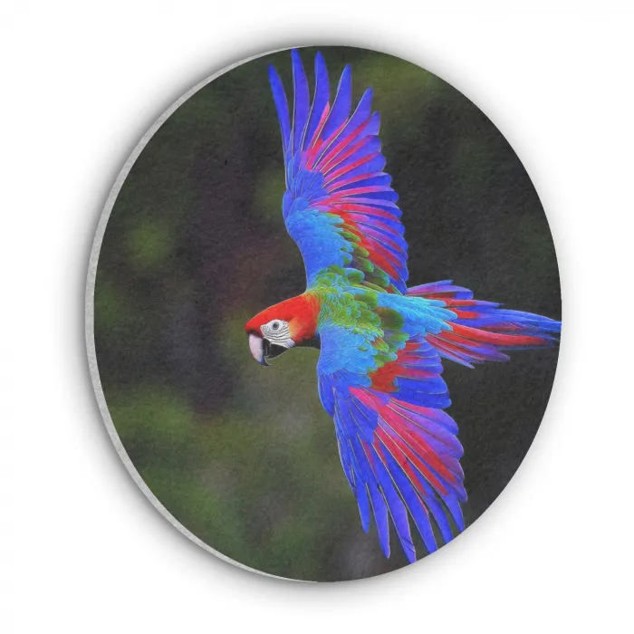 Felgekleurd - Papegaai - Bos - Vleugels Akoestische PET Vilt - Rond klein -3d