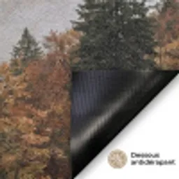 Bergen - Vallei - Mist - Herfst - Natuur Deurmat klein -antislip_FR